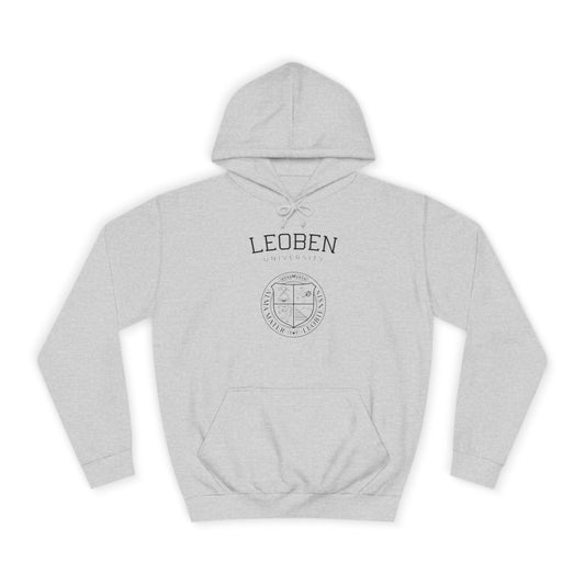 Uni Leoben Standard Hoodie Grau